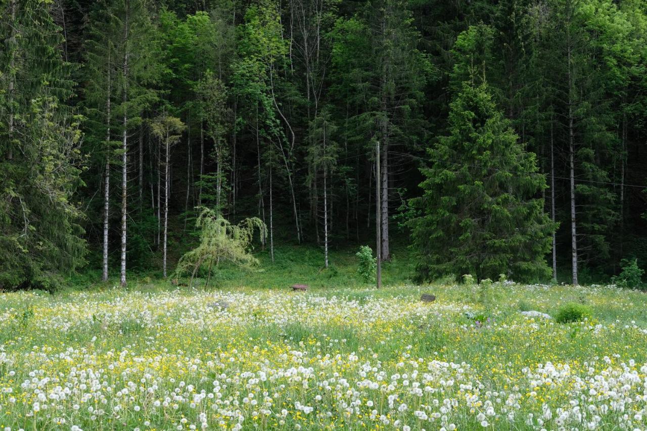Riversong Centre Thermal Les Plans-sur-Bex Екстериор снимка